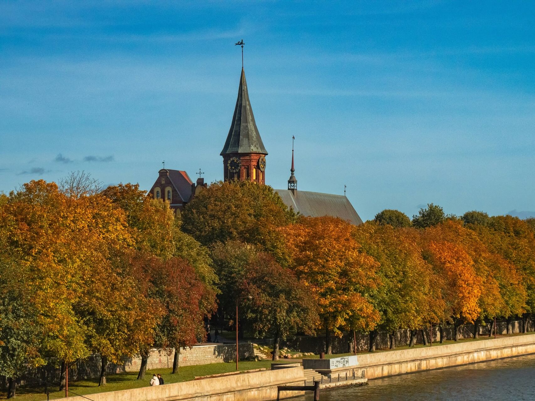 Источник: Unsplash