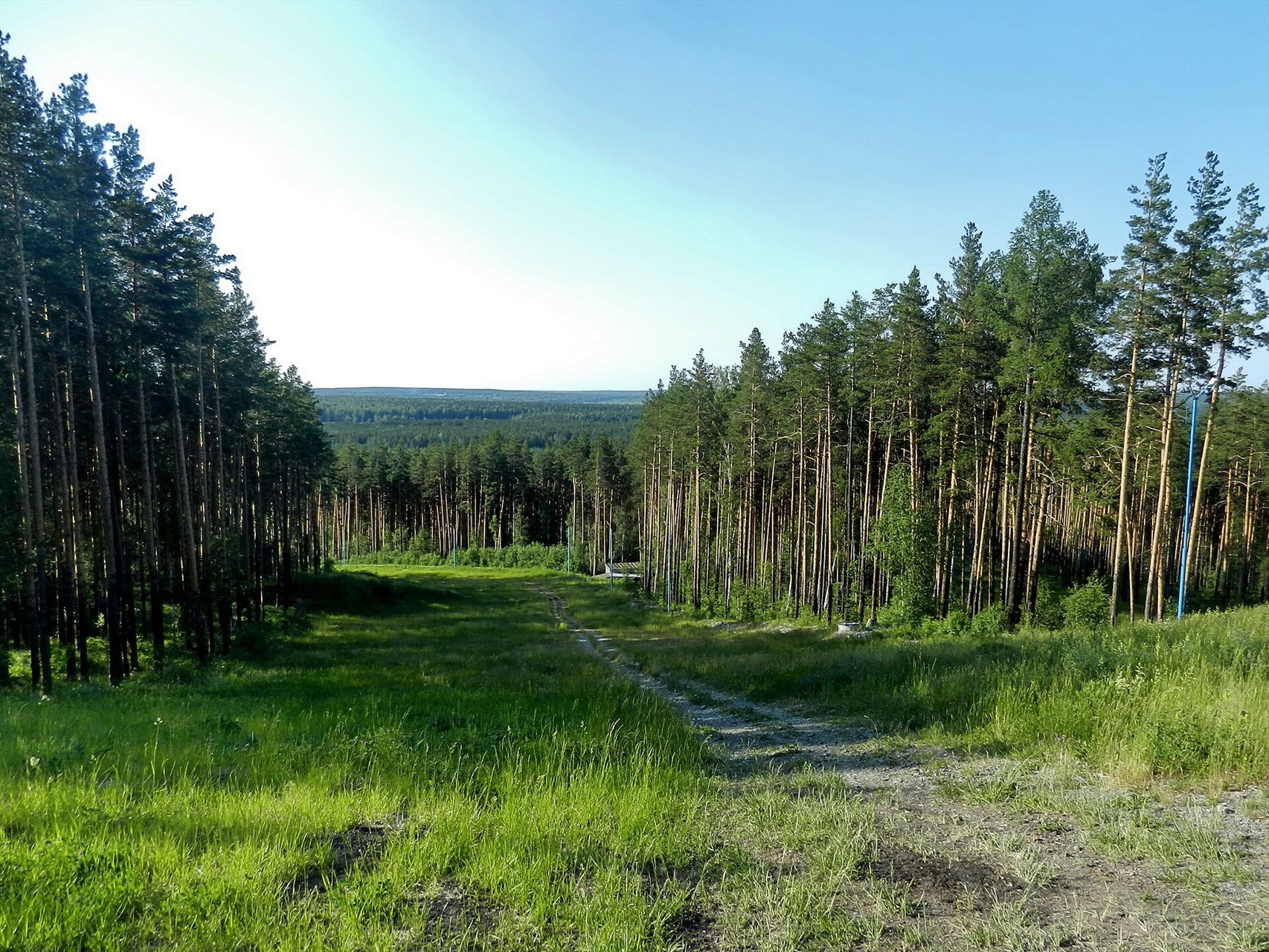 Фото: Tanya Dedyukhina, CC BY-SA 3.0 https://creativecommons.org/licenses/by-sa/3.0, via Wikimedia Commons