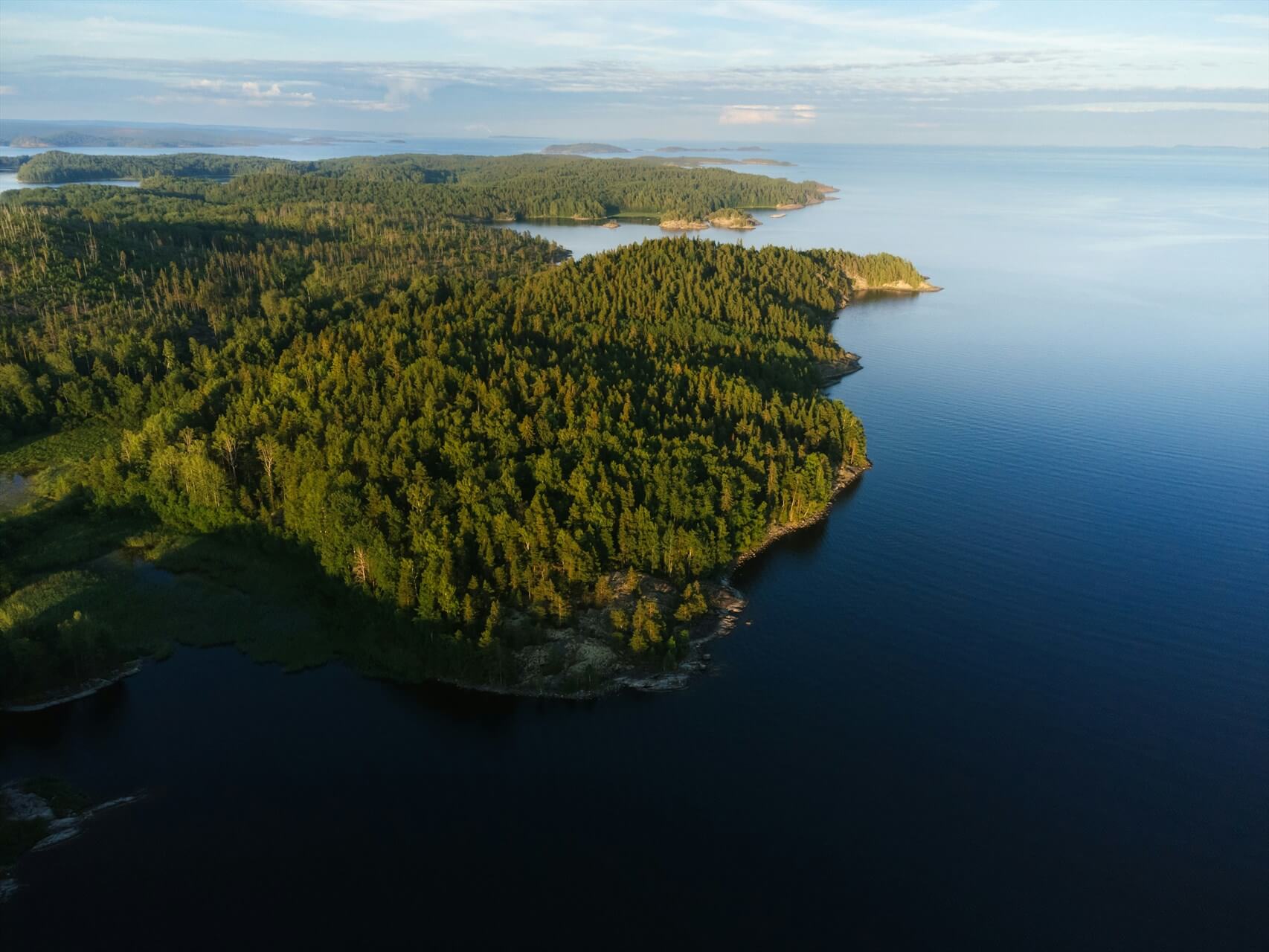 Источник: Unsplash