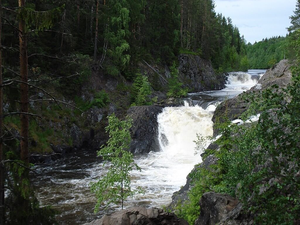 Фото: Алексия Косенко, CC BY-SA 4.0 https://creativecommons.org/licenses/by-sa/4.0, via Wikimedia Commons