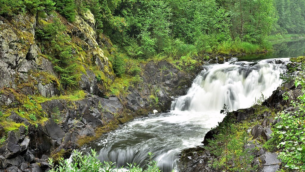 Фото: Александр Байдуков, CC BY-SA 4.0 https://creativecommons.org/licenses/by-sa/4.0, via Wikimedia Commons