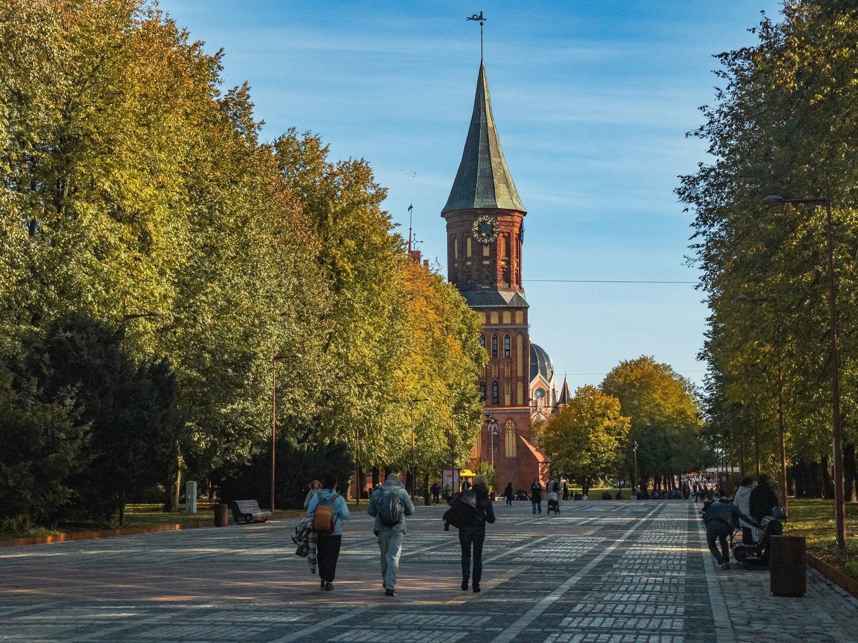 Источник: Unsplash