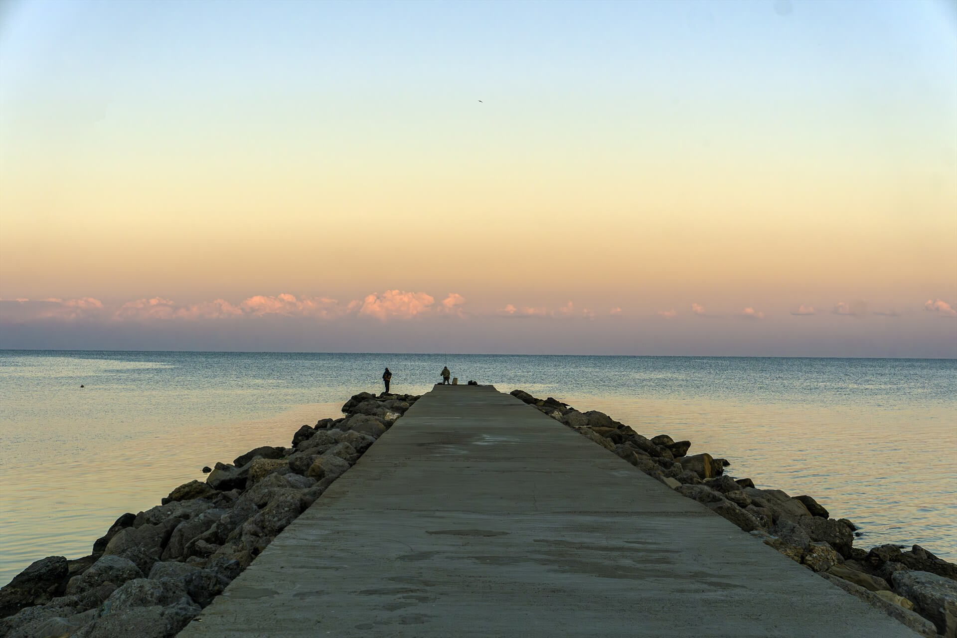 Фото: pixabay