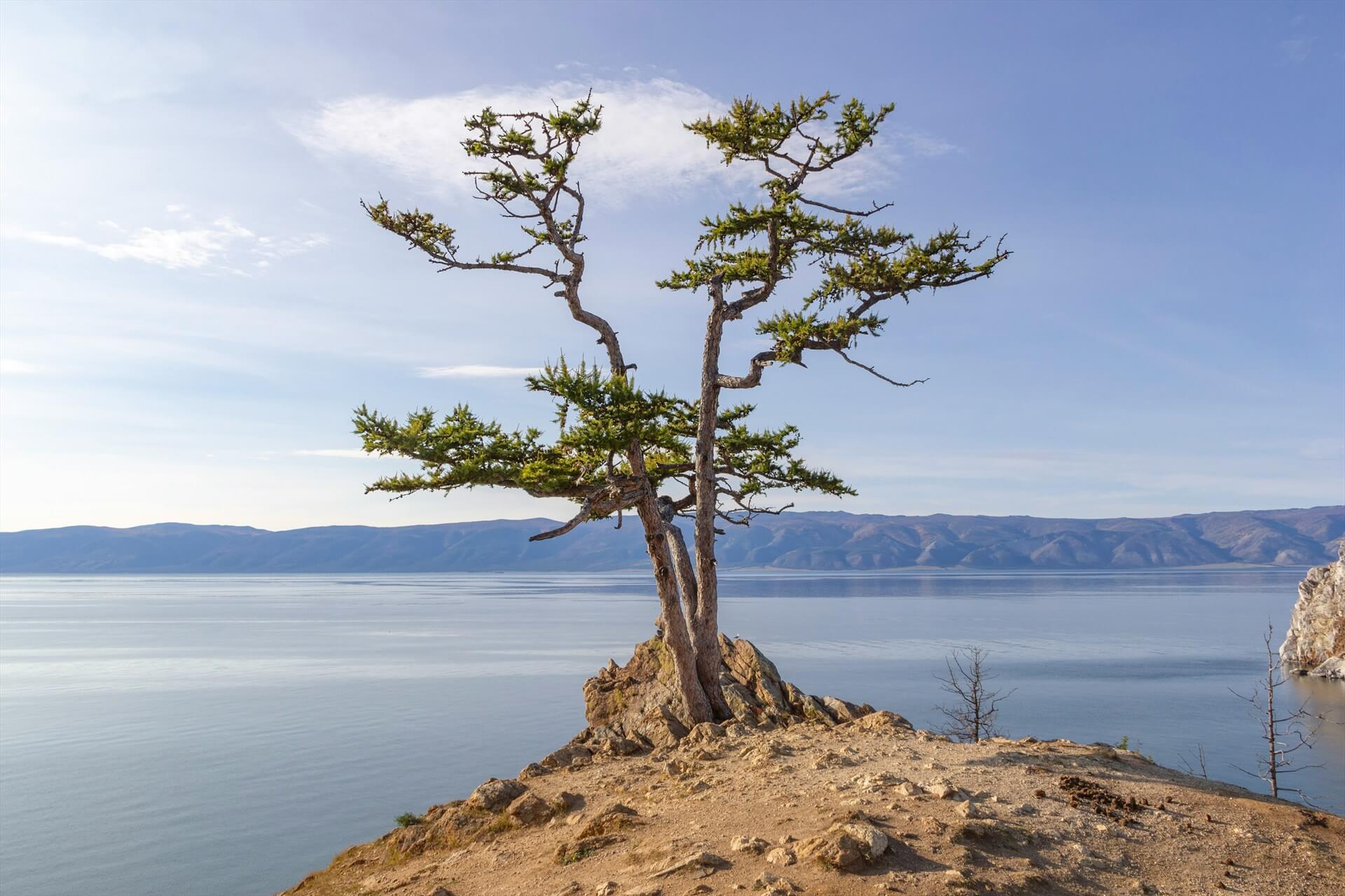 Источник: Unsplash