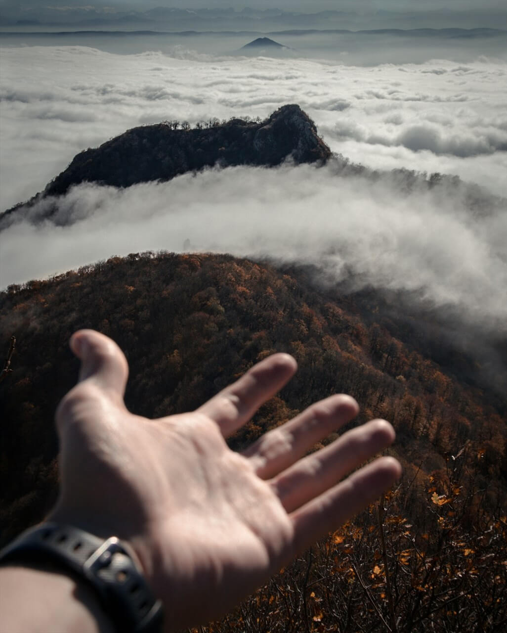 Источник: Unsplash