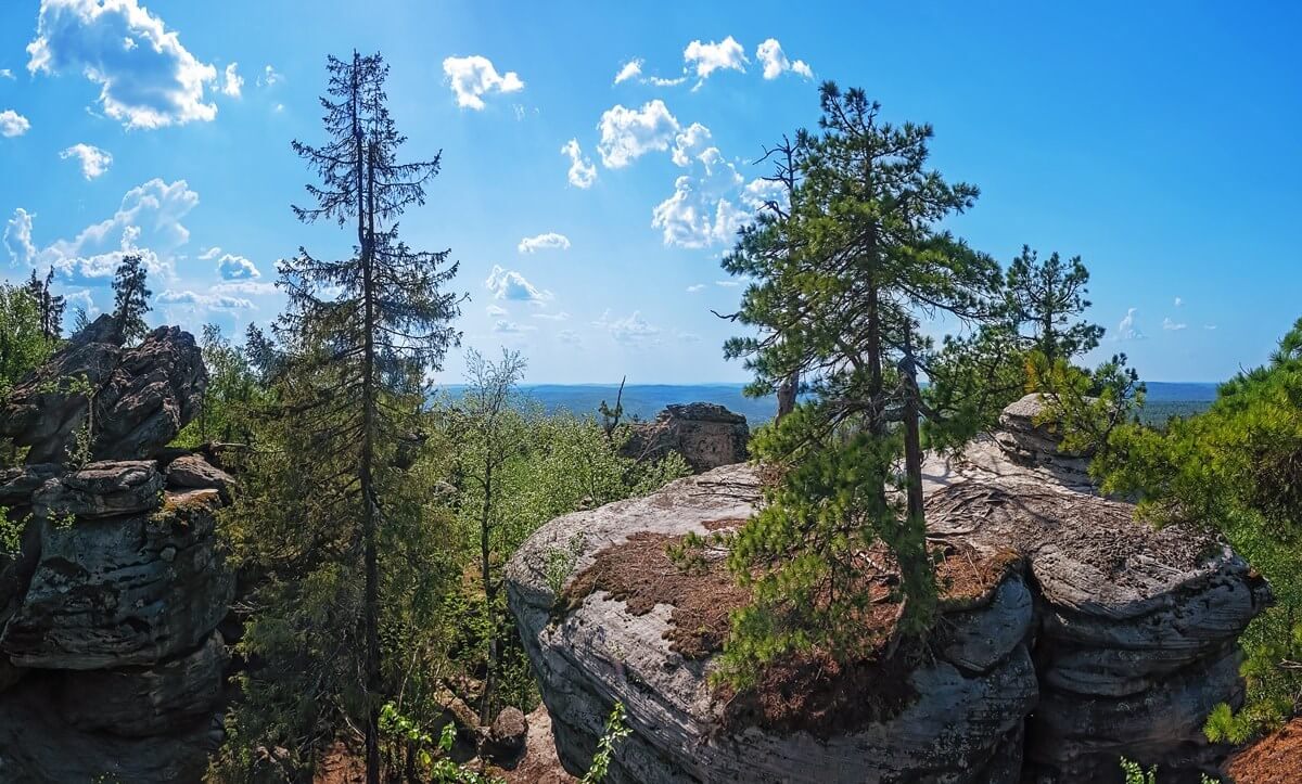 Фото от партнёра.