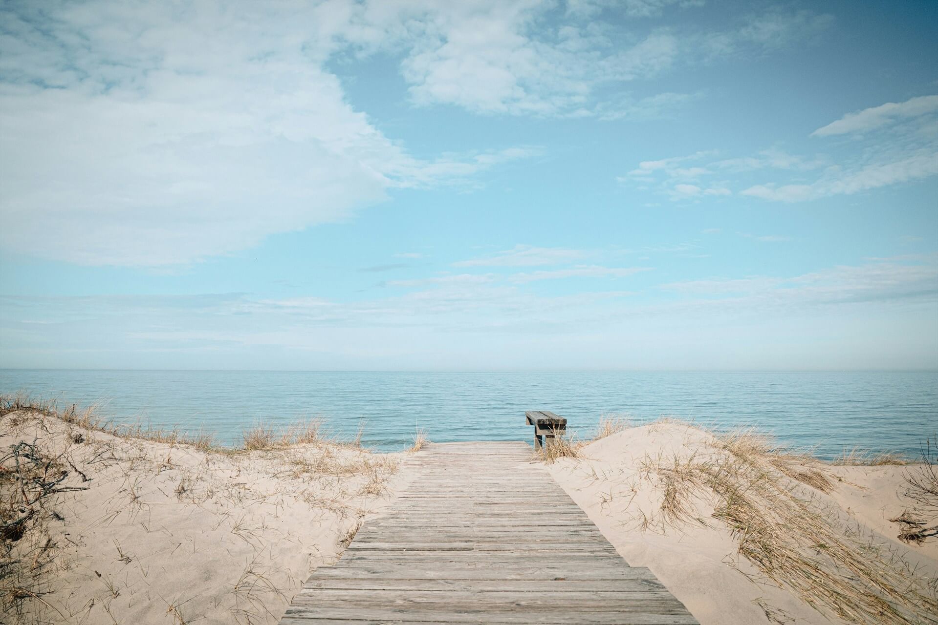 Источник: Unsplash